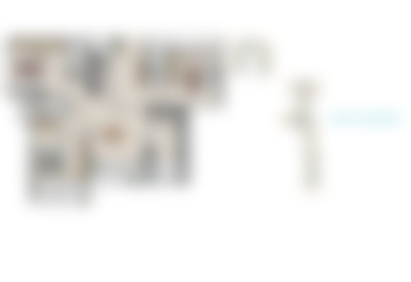 Blurred 3 BHK – Type 1 (Premium Long Layout)