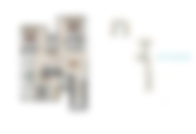 Blurred 3 BHK – Type 2 (Central Living Layout)