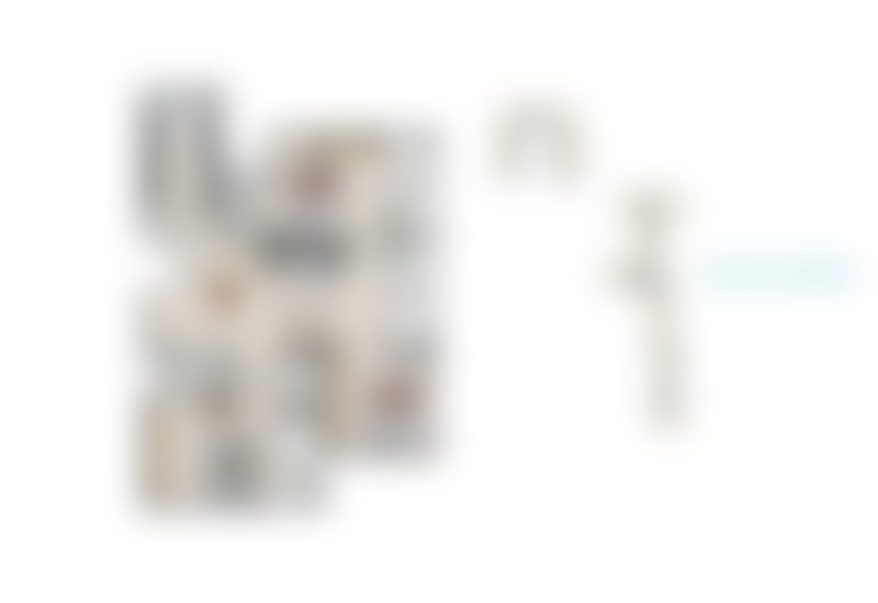 Blurred 3 BHK – Type 3 (3-Balcony Layout)